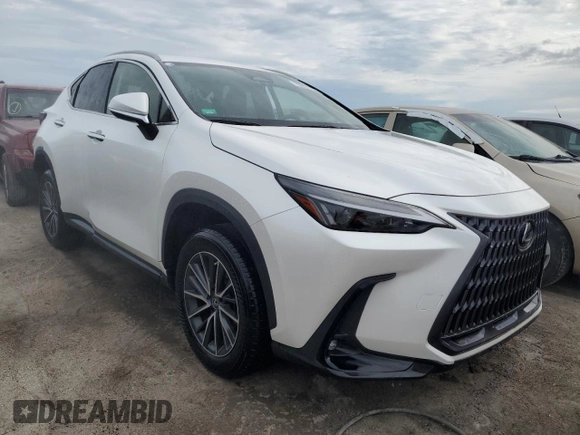 2022 Lexus NX with VIN JTJADCAZ1N5001141, listed as a Copart auction lot 75217764 with 0 mi miles and Salvage Title. Bid and sale history available at carsss.com. Image 4.