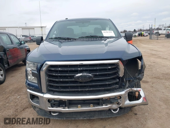 2016 Ford F-150 XLT with VIN 1FTFX1EG7GFA44487, listed as a IAAI auction lot 41507291 with 119,754 mi miles. Bid and sale history available at carsss.com. Image 12.