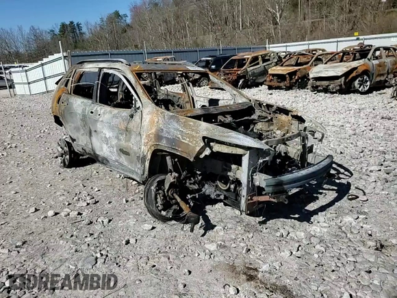 2018 Jeep Cherokee Trailhawk with VIN 1C4PJMBX9JD503209, listed as a Copart auction lot 49323265 with Not provided miles and Salvage title. Bid and sale history available at DreamBid. Image 10.