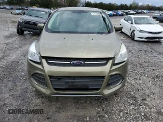 2014 Ford Escape SE with VIN 1FMCU0GX2EUA44369, listed as a Copart auction lot 51190805 with 117,975 mi miles and Salvage Title. Bid and sale history available at carsss.com. Image 5.