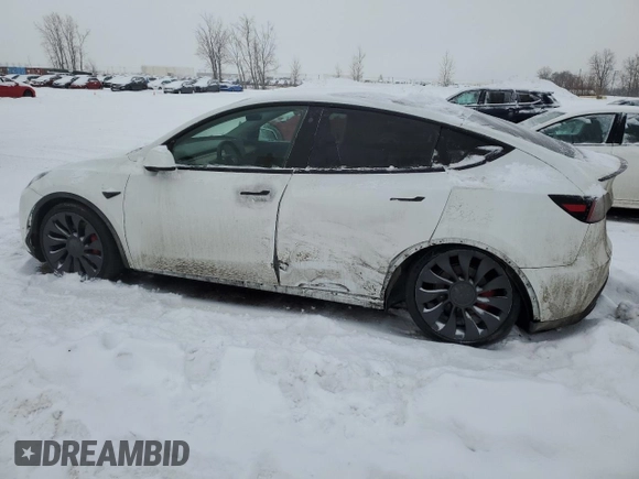 2022 Tesla Model Y Performance with VIN 7SAYGDEF4NF378191, listed as a Copart auction lot 42691915 with Not Provided miles and Salvage Title. Bid and sale history available at DreamBid. Image 2.