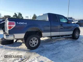 2010 Ford F-150 XL with VIN 1FTFX1EV5AFA07606, listed as a Copart auction lot 88846445 with 260,949 mi miles and Salvage Title. Bid and sale history available at carsss.com. Image 3.
