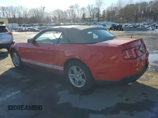2011 Ford Mustang V6 with VIN 1ZVBP8EM2B5134834, listed as a Copart auction lot 44695685 with 34,104 mi miles and Salvage Title. Bid and sale history available at carsss.com. Image 2.