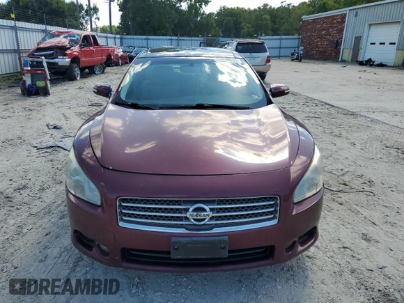 2009 Nissan Maxima SV with VIN 1N4AA51E69C820089, listed as a Copart auction lot 66046043 with 243,382 mi miles and Non Repairable. Bid and sale history available at DreamBid. Image 5.