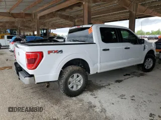 2023 Ford F-150 XL with VIN 1FTFW1E59PKE35312, listed as a Copart auction lot 50796195 with 19,849 mi miles and Salvage Title. Bid and sale history available at carsss.com. Image 3.