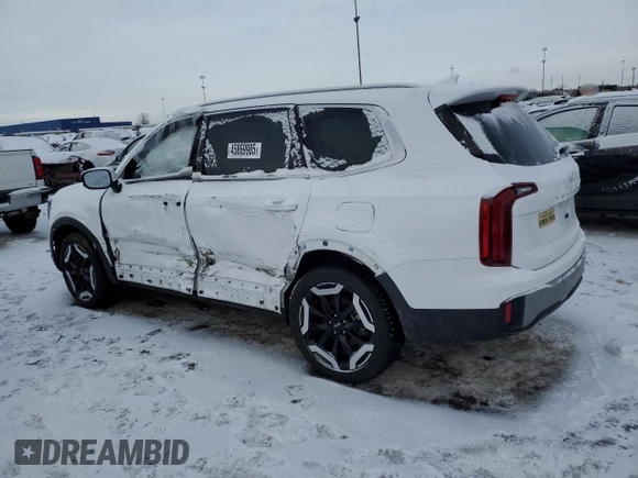 2024 Kia Telluride S with VIN 5XYP6DGC2RG564261, listed as a Copart auction lot 45869985 with 4,606 mi miles and Clean title. Bid and sale history available at DreamBid. Image 2.