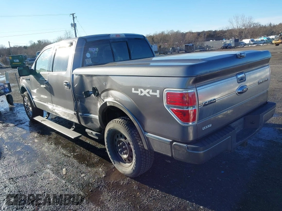 2009 Ford F-150 XL with VIN 1FTPW14VX9FA67580, listed as a IAAI auction lot 41567442 with 171,122 mi miles and . Bid and sale history available at DreamBid. Image 3.