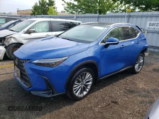 2022 Lexus NX with VIN 2T2GKCEZ6NC003981, listed as a Copart auction lot 56117113 with 15,294 mi miles. Bid and sale history available at carsss.com. Image 1.