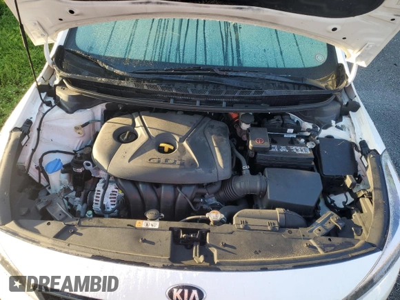 2017 Kia Forte LX with VIN KNAFK5A89H5702058, listed as a Copart auction lot 74037364 with Not Provided miles and Non Repairable. Bid and sale history available at DreamBid. Image 11.
