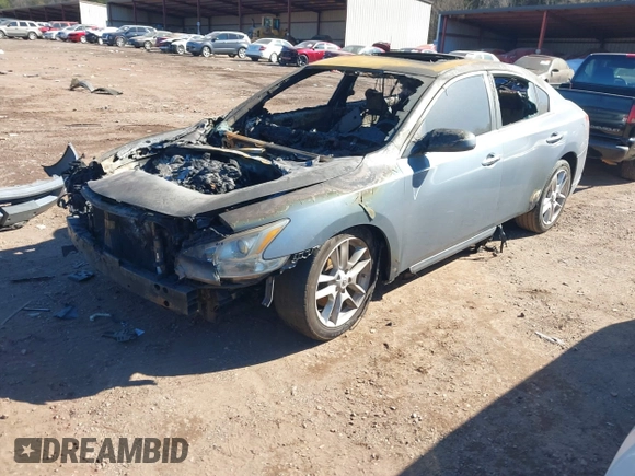 2010 Nissan Maxima SV with VIN 1N4AA5AP5AC824186, listed as a IAAI auction lot 41377558 with Not provided miles and . Bid and sale history available at DreamBid. Image 2.
