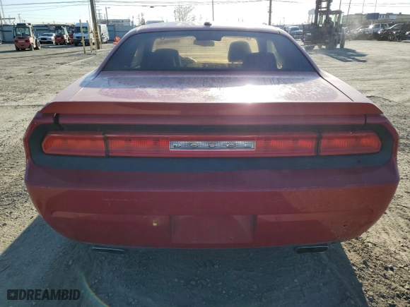 2013 Dodge Challenger R/T with VIN 2C3CDYBT5DH631436, listed as a Copart auction lot 49719575 with 0 mi miles and Clean Title. Bid and sale history available at carsss.com. Image 6.