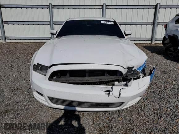 2014 Ford Mustang V6 with VIN 1ZVBP8AM1E5319001, listed as a Copart auction lot 49256535 with 170,655 mi miles and Salvage Title. Bid and sale history available at carsss.com. Image 5.