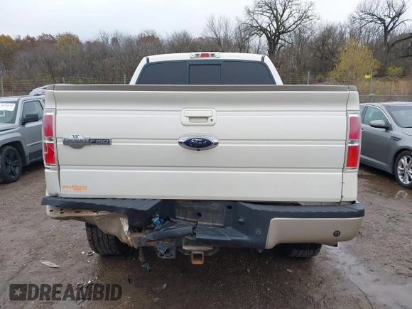 2009 Ford F-150 XL with VIN 1FTPW14VX9KC06789, listed as a IAAI auction lot 40664180 with 196,599 mi miles and . Bid and sale history available at DreamBid. Image 16.