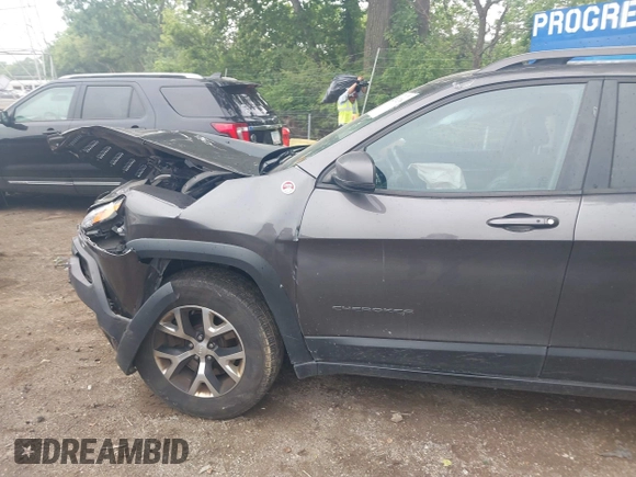 2018 Jeep Cherokee Trailhawk with VIN 1C4PJMBB0JD564792, listed as a IAAI auction lot 42513208 with 173,484 mi miles and . Bid and sale history available at DreamBid. Image 14.