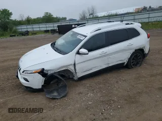 2016 Jeep Cherokee Limited z VIN 1C4PJMDB9GW244574, wystawiony jako Copart lot #59346415 z przebiegiem 140 305 mil mil oraz Szkoda całkowita • Salvage title. Historia ofert i sprzedaży dostępna na DreamBid. Obrazek 1.