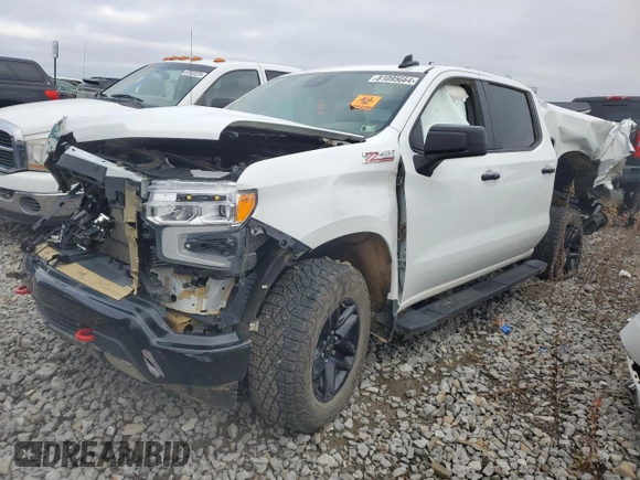 2023 Chevrolet Silverado 1500 LT Trail Boss with VIN 3GCUDFED2PG326831, listed as a Copart auction lot 81095664 with Not Provided miles and Salvage Title. Bid and sale history available at DreamBid. Image 1.