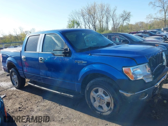 2009 Ford F-150 XL with VIN 1FTPW14V59KC52255, listed as a IAAI auction lot 42123114 with 190,641 mi miles and . Bid and sale history available at DreamBid. Image 13.