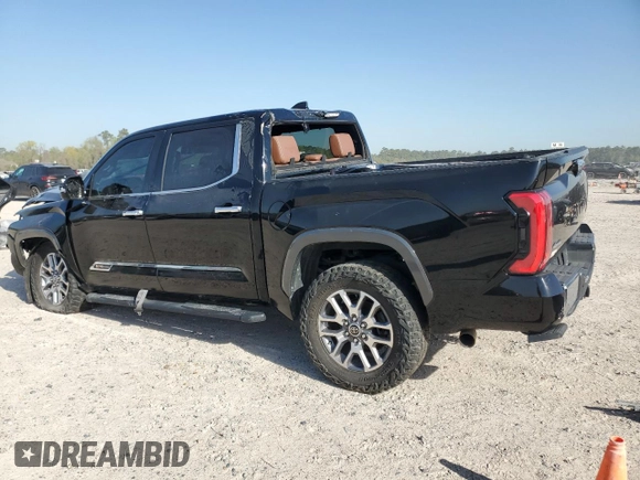 2022 Toyota Tundra 1794 Edition with VIN 5TFMA5DB2NX033703, listed as a Copart auction lot 47841975 with 48,755 mi miles and Salvage title. Bid and sale history available at DreamBid. Image 2.
