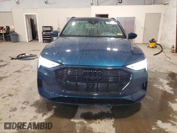 2022 Audi e-tron Premium Plus с VIN WA1LAAGE4NB006634, выставлен на аукционе Copart как лот 84389824 с пробегом 48 516 миль миль и Списание • Salvage title. История ставок и продаж доступна на DreamBid. Изображение 5.