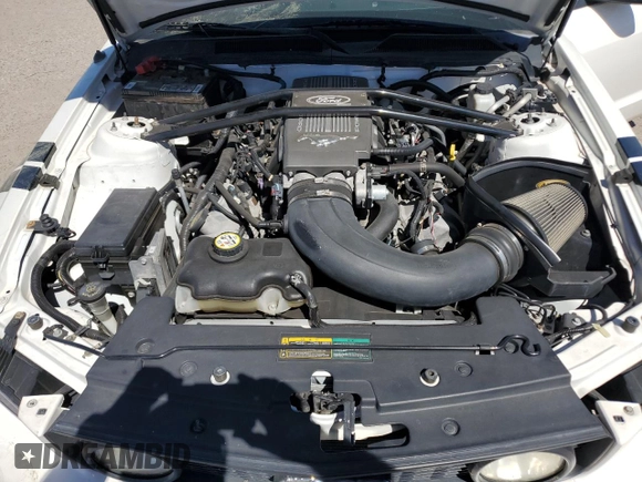 2009 Ford Mustang GT with VIN 1ZVHT82H995140721, listed as a Copart auction lot 60673295 with 96,595 mi miles and Salvage title. Bid and sale history available at DreamBid. Image 11.