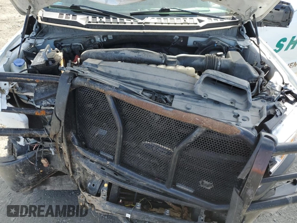 2019 Ford F-150 with VIN 1FTEW1P44KKD50970, listed as a Copart auction lot 56162645 with 153,050 mi miles and Salvage title. Bid and sale history available at DreamBid. Image 11.