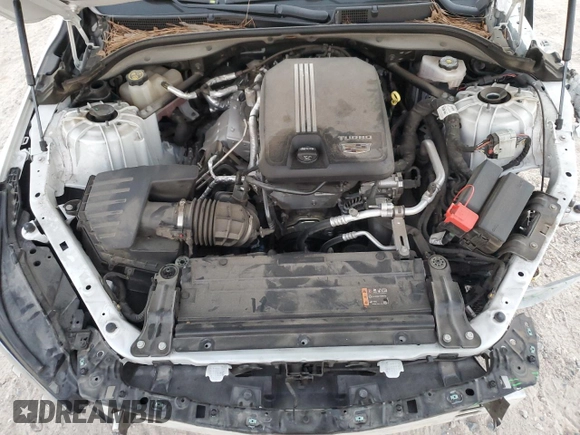2022 Cadillac CT5 Luxury with VIN 1G6DW5RK6N0130537, listed as a Copart auction lot 77779674 with 41,840 mi miles and Salvage Title. Bid and sale history available at carsss.com. Image 11.
