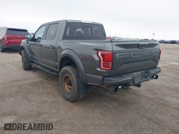 2019 Ford F-150 Raptor with VIN 1FTFW1RG9KFB45830, listed as a IAAI auction lot 41602022 with 136,401 mi miles. Bid and sale history available at carsss.com. Image 3.