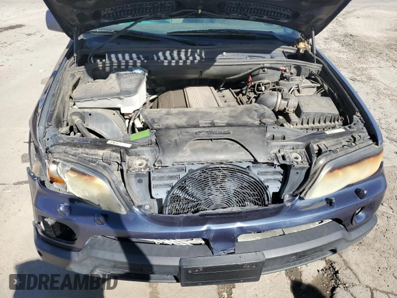2004 BMW X5 3.0i with VIN 5UXFA13504LU42459, listed as a Copart auction lot 43819964 with 171,722 mi miles and Salvage Title. Bid and sale history available at carsss.com. Image 12.