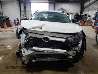 2019 Toyota RAV4 LE with VIN 2T3F1RFV7KC021068, listed as a Copart auction lot 50889575 with 34,749 mi miles and Salvage Title. Bid and sale history available at DreamBid. Image 5.