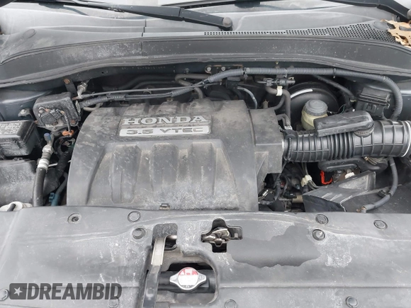 2006 Honda Pilot EX with VIN 5FNYF18496B021499, listed as a IAAI auction lot 41540784 with 232,665 mi miles and . Bid and sale history available at DreamBid. Image 10.