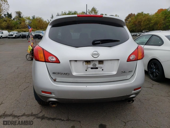 2009 Nissan Murano LE with VIN JN8AZ18W99W148008, listed as a Copart auction lot 74739524 with 317,788 mi miles and Clean Title. Bid and sale history available at carsss.com. Image 6.