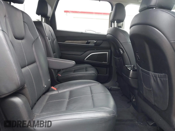 2020 Kia Telluride EX with VIN 5XYP3DHC1LG056748, listed as a IAAI auction lot 41926108 with 91,751 mi miles and . Bid and sale history available at DreamBid. Image 8.