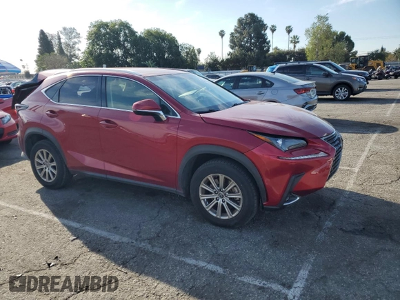 2020 Lexus NX 300 with VIN JTJAARBZXL5001159, listed as a Copart auction lot 50264585 with 49,024 mi miles and Salvage title. Bid and sale history available at DreamBid. Image 4.