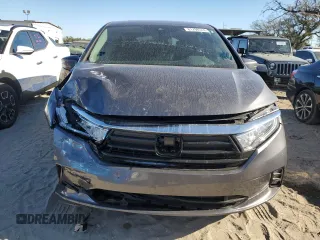 2024 Honda Odyssey EX-L with VIN 5FNRL6H69RB069598, listed as a Copart auction lot 81798314 with Not Provided miles and Salvage Title. Bid and sale history available at DreamBid. Image 5.