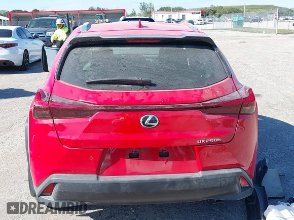 2024 Lexus UX with VIN JTHX6JBH8R2182245, listed as a IAAI auction lot 41205289 with 11,421 mi miles. Bid and sale history available at carsss.com. Image 17.