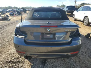 2017 BMW 2 Series 230i with VIN WBA2K9C31HV950585, listed as a Copart auction lot 88525515 with 39,618 mi miles and Salvage title. Bid and sale history available at DreamBid. Image 6.