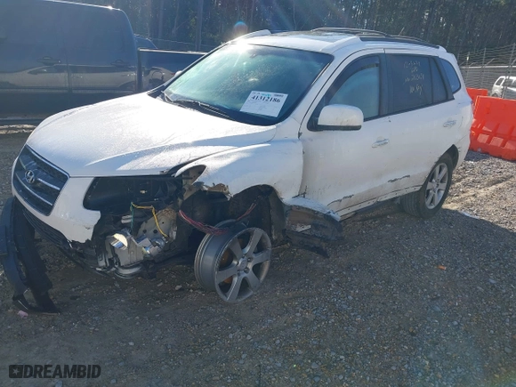 2009 Hyundai Santa Fe SE with VIN 5NMSH13E39H290889, listed as a IAAI auction lot 41312186 with 149,874 mi miles. Bid and sale history available at carsss.com. Image 2.
