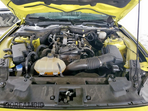 2021 Ford Mustang EcoBoost с VIN 1FA6P8TH4M5150133, выставлен на аукционе Copart как лот 58329025 с пробегом 21 670 миль миль и Чистый • Clean title. История ставок и продаж доступна на DreamBid. Изображение 11.