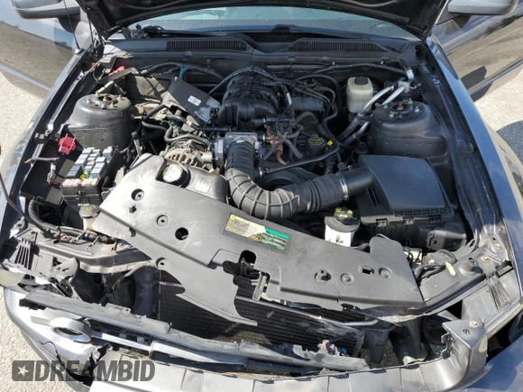 2007 Ford Mustang Deluxe with VIN 1ZVHT84N775242583, listed as a Copart auction lot 51477205 with Not Provided miles and Salvage Title. Bid and sale history available at carsss.com. Image 13.