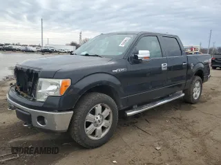 2010 Ford F-150 XL with VIN 1FTEW1E86AFC10500, listed as a Copart auction lot 51546555 with 286,251 mi miles and Clean Title. Bid and sale history available at carsss.com. Image 1.