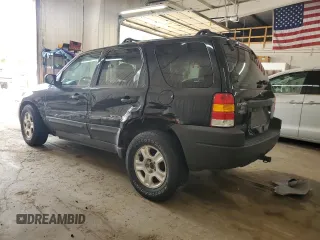2003 Ford Escape XLT Popular 2 with VIN 1FMYU93193KB87078, listed as a Copart auction lot 59018205 with 222,082 mi miles and Salvage title. Bid and sale history available at DreamBid. Image 2.