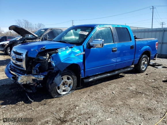 2013 Ford F-150 XL with VIN 1FTEW1CM4DFC15215, listed as a Copart auction lot 48983375 with 205,081 mi miles and Salvage Title. Bid and sale history available at carsss.com. Image 1.