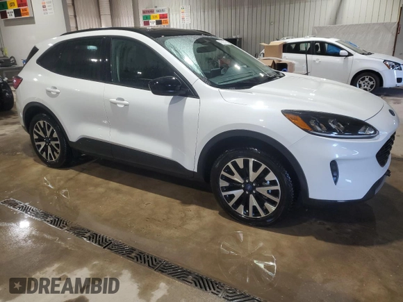 2020 Ford Escape SE Sport Hybrid with VIN 1FMCU9BZ0LUC28736, listed as a Copart auction lot 45525015 with 65,481 mi miles and Salvage Title. Bid and sale history available at DreamBid. Image 4.