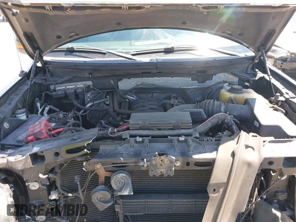 2013 Ford F-150 XL with VIN 1FTFX1CF7DKF66971, listed as a IAAI auction lot 42593241 with 86,074 mi miles and . Bid and sale history available at DreamBid. Image 10.