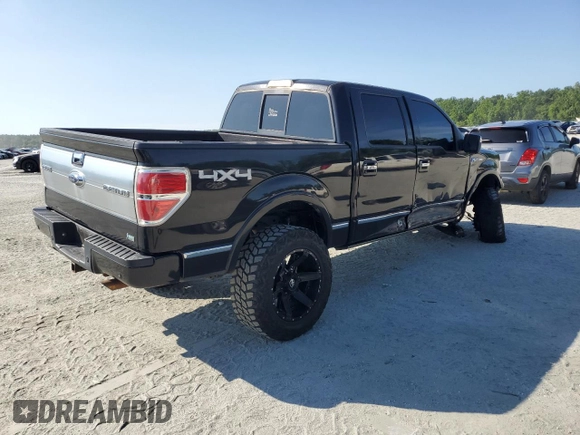 2010 Ford F-150 XL with VIN 1FTFW1EV7AFD74218, listed as a Copart auction lot 61984735 with 173,577 mi miles and Salvage title. Bid and sale history available at DreamBid. Image 3.