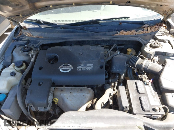 2003 Nissan Altima S with VIN 1N4AL11D63C273066, listed as a IAAI auction lot 41862920 with 247,680 mi miles. Bid and sale history available at carsss.com. Image 10.