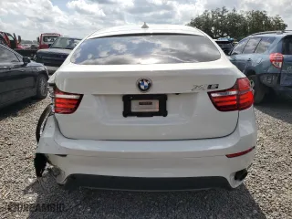 2013 BMW X6 xDrive35i with VIN 5UXFG2C59DL783279, listed as a Copart auction lot 59685334 with 134,324 mi miles and Salvage Title. Bid and sale history available at carsss.com. Image 6.