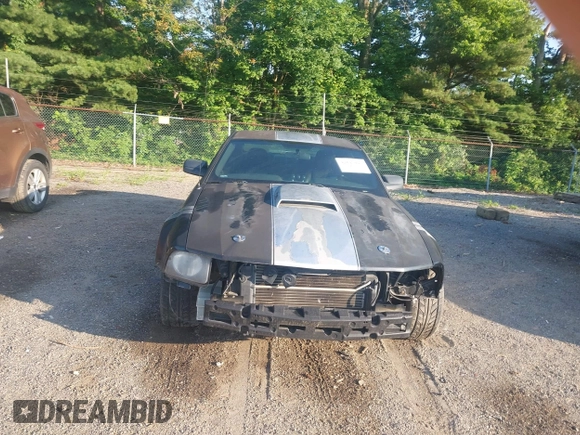 2006 Ford Mustang GT Deluxe with VIN 1ZVHT82H865252390, listed as a IAAI auction lot 42645097 with 91,083 mi miles and . Bid and sale history available at DreamBid. Image 13.
