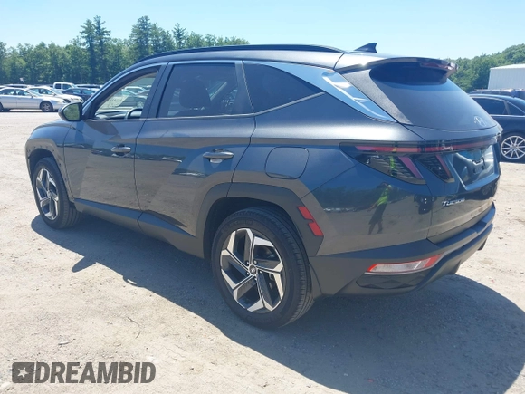 2023 Hyundai Tucson SEL with VIN 5NMJFCAE0PH199415, listed as a IAAI auction lot 42581112 with 29,752 mi miles and . Bid and sale history available at DreamBid. Image 3.