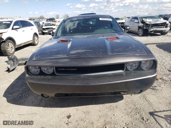 2013 Dodge Challenger R/T with VIN 2C3CDYBT2DH679671, listed as a Copart auction lot 46857245 with 0 mi miles and Salvage Title. Bid and sale history available at carsss.com. Image 5.